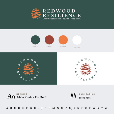 low cost Healthcare logo style guide