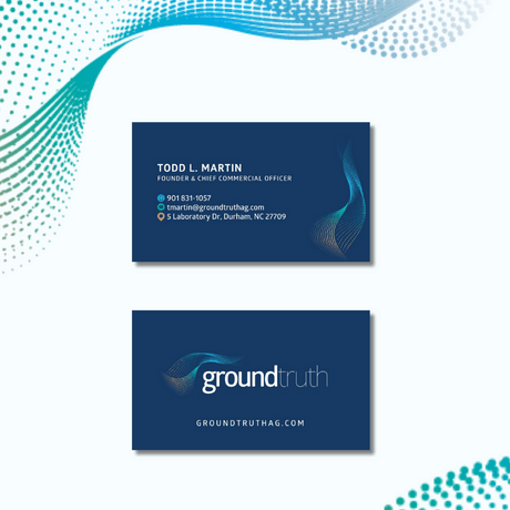 low cost earth logo design and business card